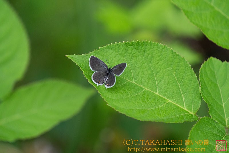 ../Images/7R240922 (190).jpg